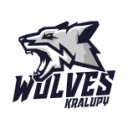 Kralupy Wolves ASPV